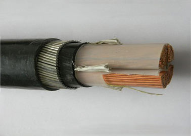 Copper Conductor XLPE Insulated Power Cable With ICEA Cable Standard
